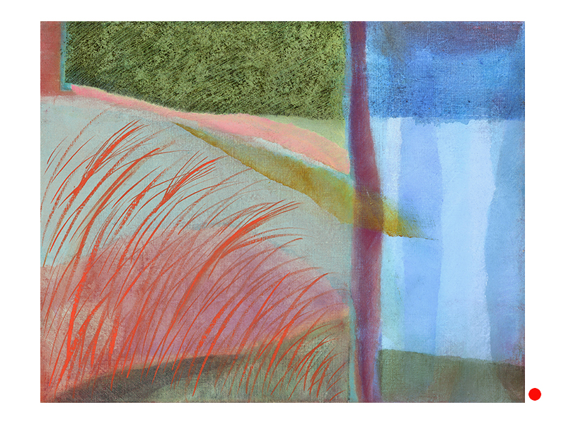 Grasses in the Field