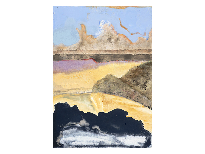 Sunset Swim, Polkerris